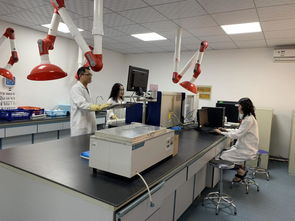 奶牛生產性能測定項目全面展開，助力乳品質量監(jiān)測體系優(yōu)化