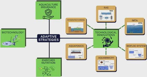 氣候變化如何重塑水產(chǎn)養(yǎng)殖業(yè) 不可忽視的技術(shù)挑戰(zhàn)與應(yīng)對策略